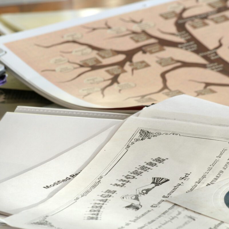 The Difference Between Professional Genealogists and Hobbyists