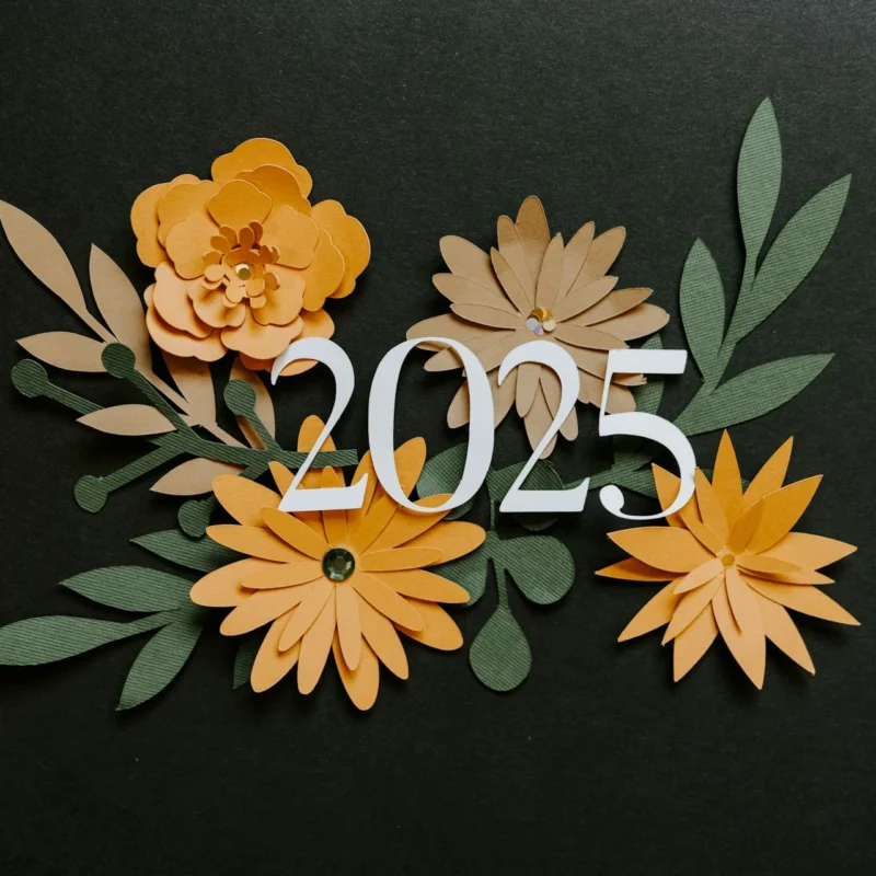 2025 A Year In Review – Our Most Interesting Cases