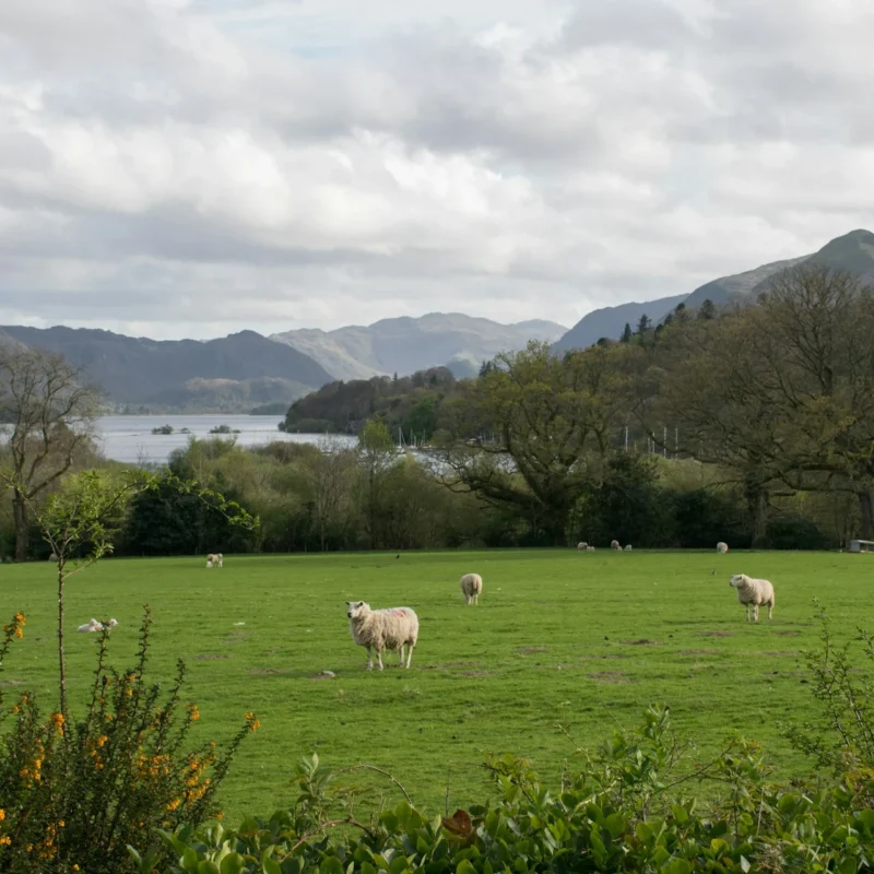 The Impact Of Inheritance Tax Reforms On Farmers