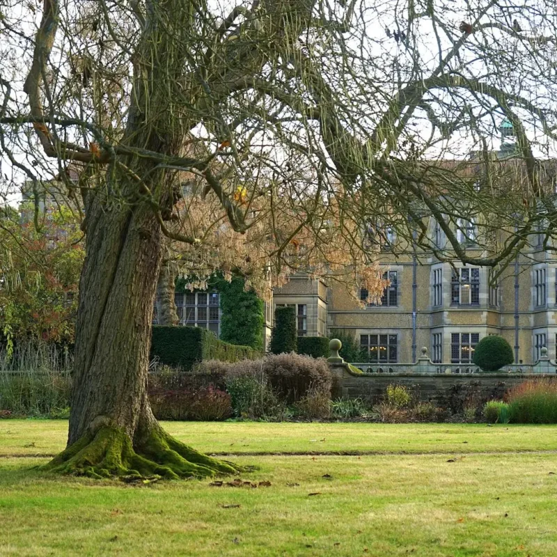 Understanding Unclaimed Estates In The UK