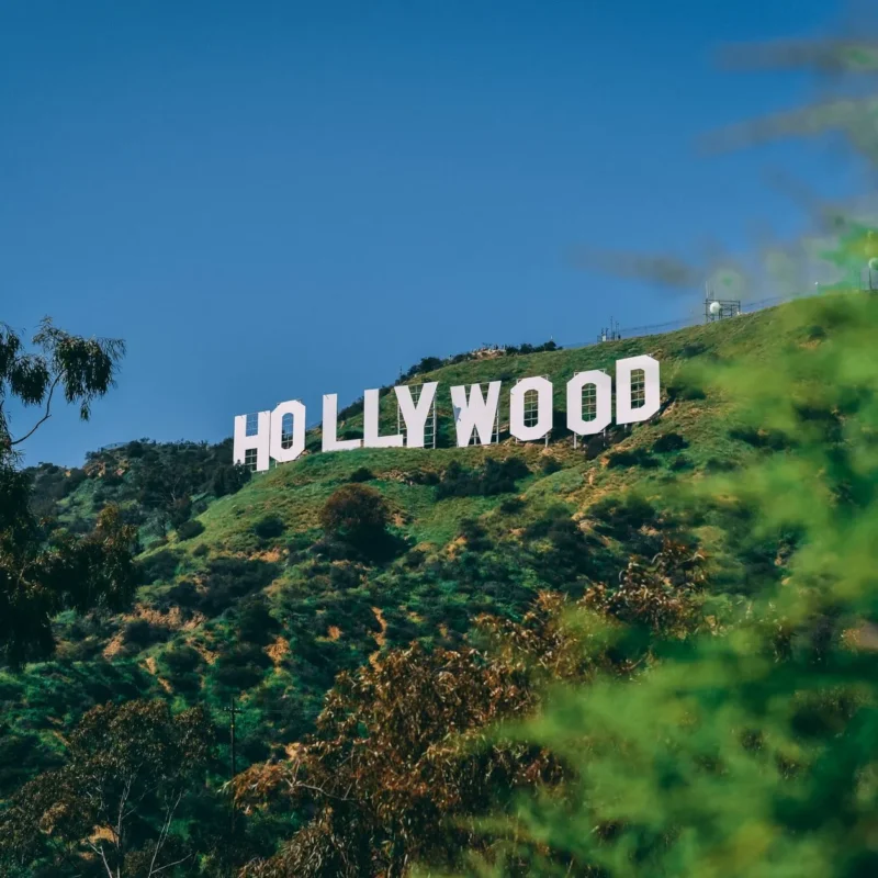 What Will Happen to Tim Curry's Estate? Did Dolly Parton Leave a Will?